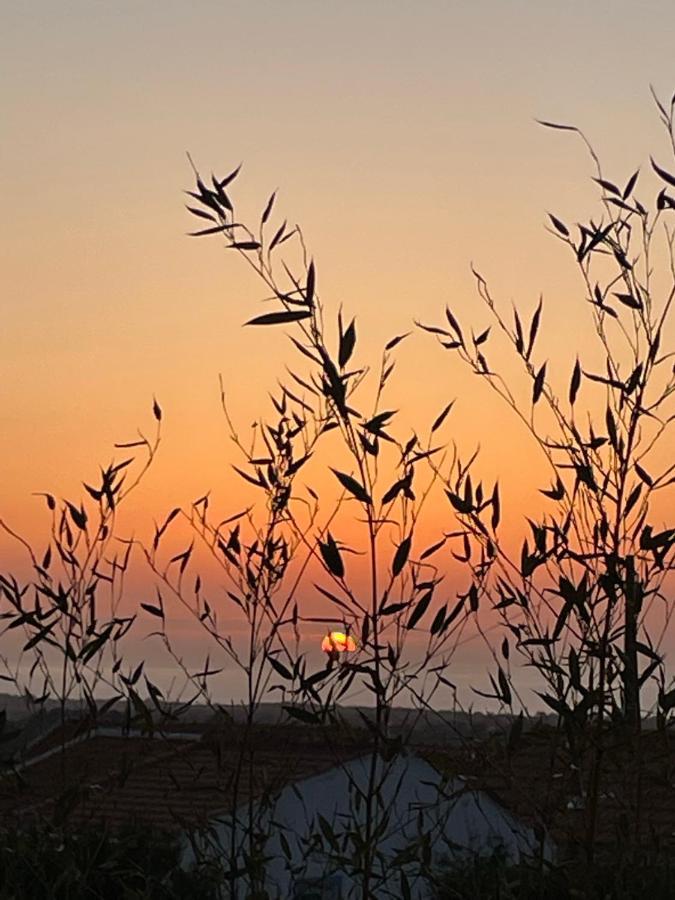 Cabana Mar E Serra Сесимбра Екстериор снимка